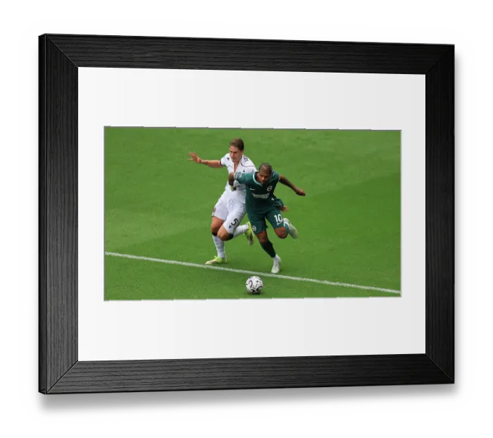 Framed Print : Brighton and Hove Albion v Bologna Premier League 15AUG26 Framed Print : Brighton and Hove Albion v Bologna Premier League 15AUG26