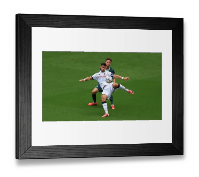 Framed Print : Brighton and Hove Albion v Bologna Premier League 15AUG26 Framed Print : Brighton and Hove Albion v Bologna Premier League 15AUG26