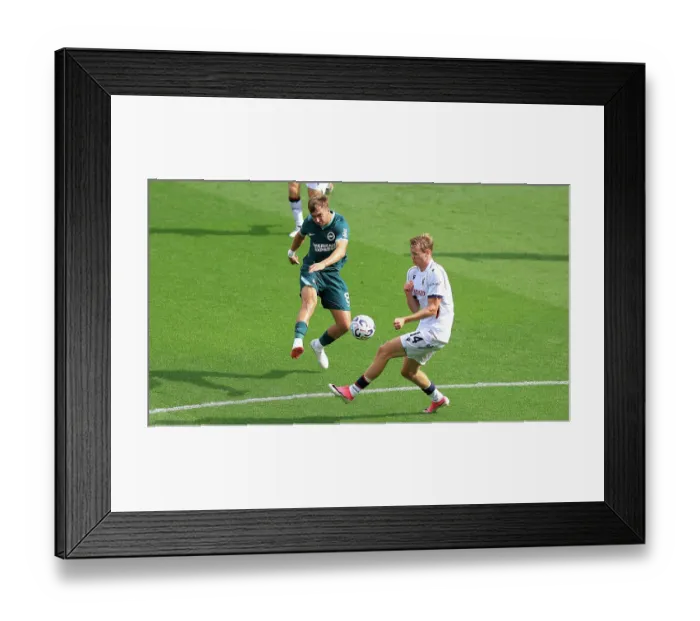 Framed Print : Brighton and Hove Albion v Bologna Premier League 15AUG26 Framed Print : Brighton and Hove Albion v Bologna Premier League 15AUG26