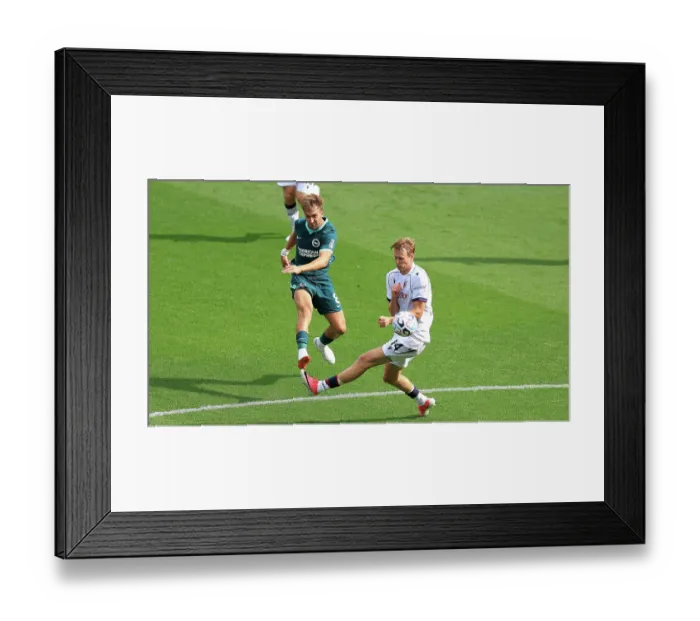 Framed Print : Brighton and Hove Albion v Bologna Premier League 15AUG26 Framed Print : Brighton and Hove Albion v Bologna Premier League 15AUG26