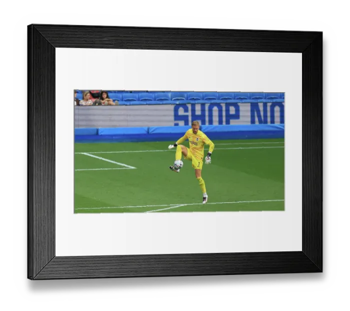 Framed Print : Brighton and Hove Albion v Bologna Premier League 15AUG26 Framed Print : Brighton and Hove Albion v Bologna Premier League 15AUG26