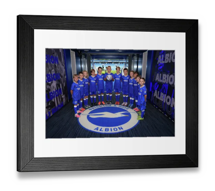 Framed Print : Brighton and Hove Albion v Bologna Premier League 15AUG26