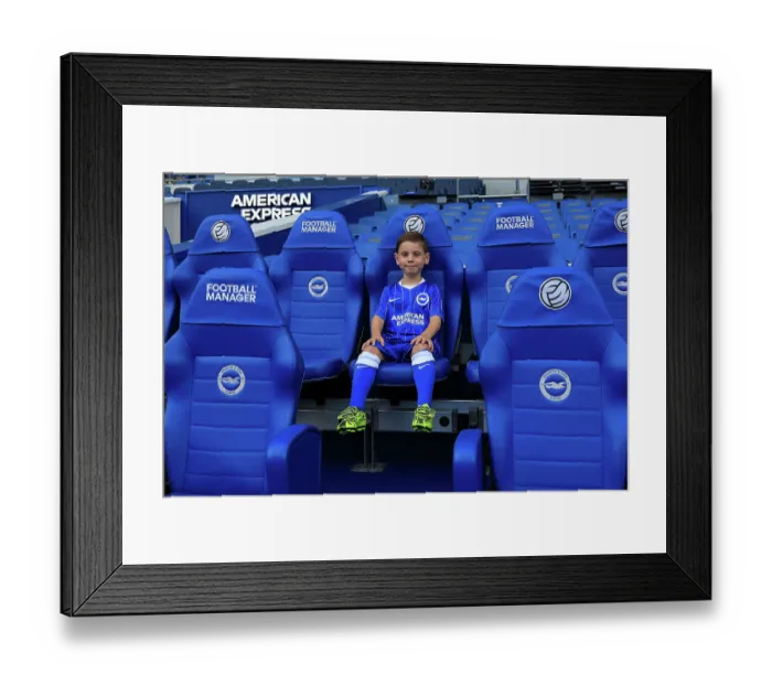 Framed Print : Brighton and Hove Albion v Bologna Premier League 15AUG26