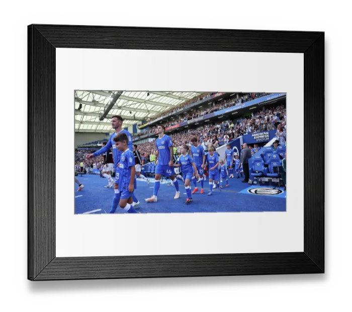 Framed Print : Brighton and Hove Albion v Aston Villa Premier League 23AUG26