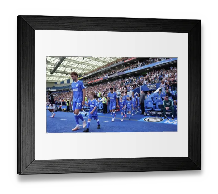 Framed Print : Brighton and Hove Albion v Aston Villa Premier League 23AUG26