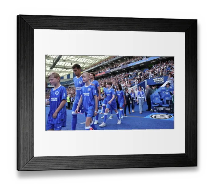 Framed Print : Brighton and Hove Albion v Aston Villa Premier League 23AUG26
