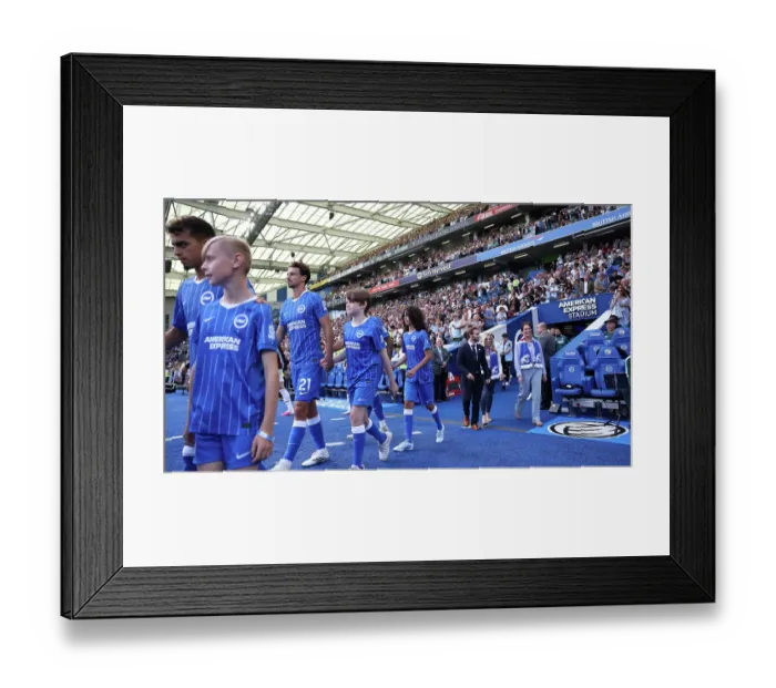 Framed Print : Brighton and Hove Albion v Aston Villa Premier League 23AUG26
