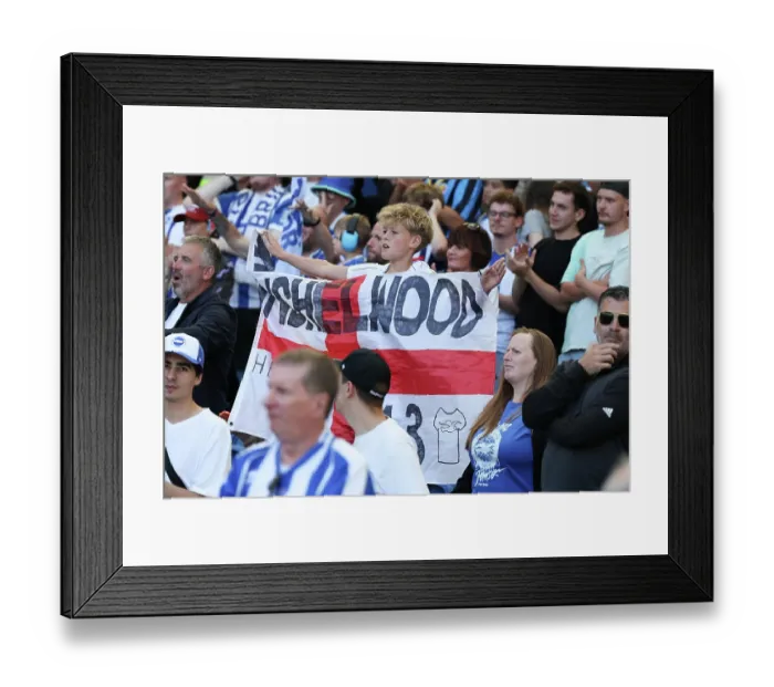 Framed Print : Brighton and Hove Albion v Aston Villa Premier League 23AUG26