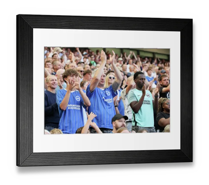 Framed Print : Brighton and Hove Albion v Aston Villa Premier League 23AUG26