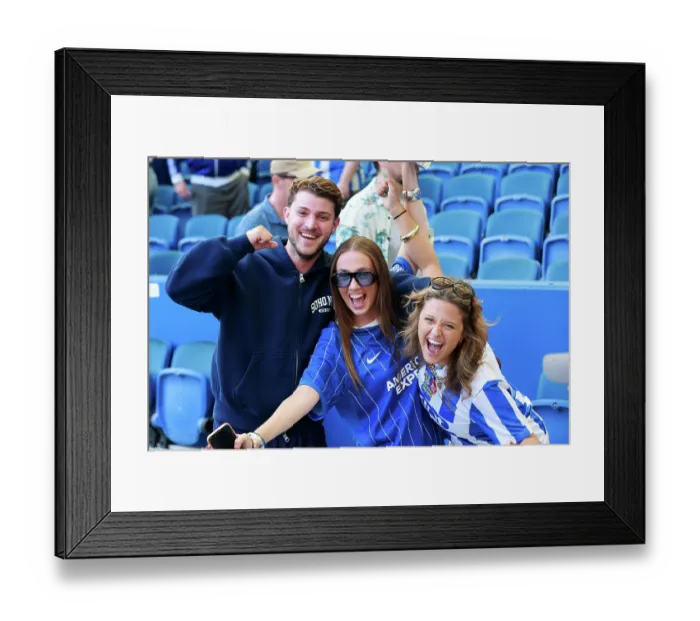 Framed Print : Brighton and Hove Albion v Aston Villa Premier League 23AUG26
