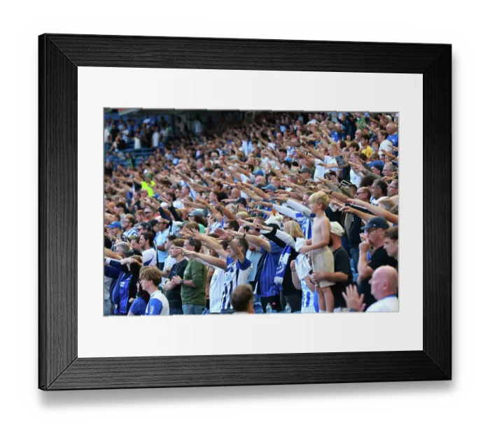 Framed Print : Brighton and Hove Albion v Aston Villa Premier League 23AUG26
