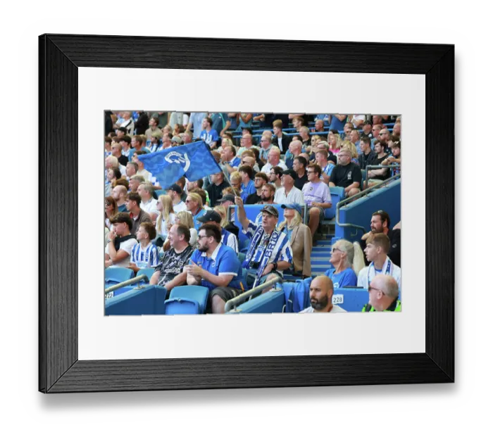 Framed Print : Brighton and Hove Albion v Aston Villa Premier League 23AUG26