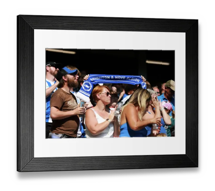 Framed Print : Brighton and Hove Albion v Aston Villa Premier League 23AUG26