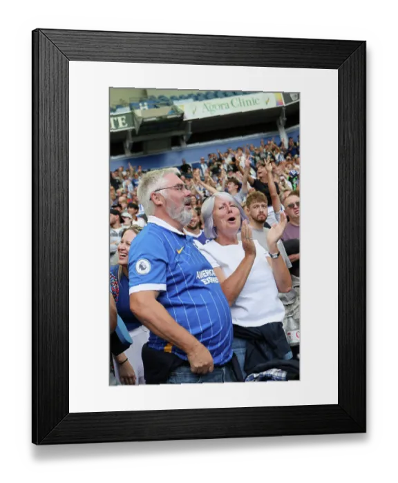 Framed Print : Brighton and Hove Albion v Aston Villa Premier League 23AUG26