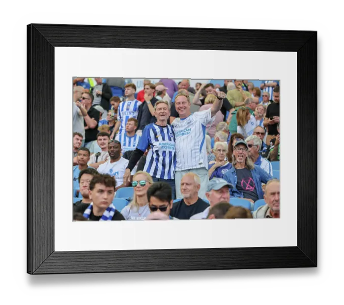 Framed Print : Brighton and Hove Albion v Aston Villa Premier League 23AUG26