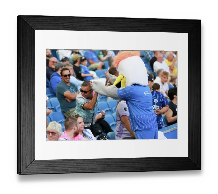 Framed Print : Brighton and Hove Albion v Aston Villa Premier League 23AUG26 Framed Print : Brighton and Hove Albion v Aston Villa Premier League 23AUG26