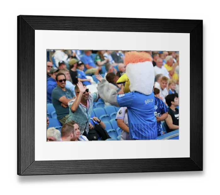 Framed Print : Brighton and Hove Albion v Aston Villa Premier League 23AUG26 Framed Print : Brighton and Hove Albion v Aston Villa Premier League 23AUG26