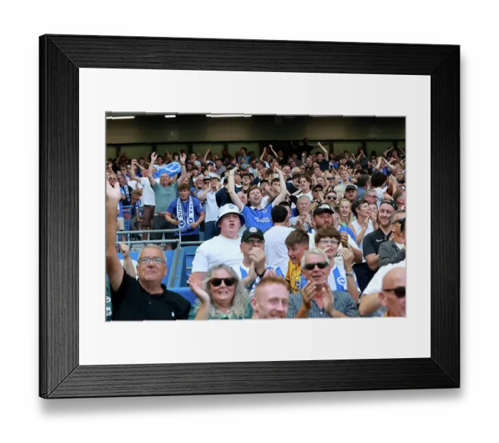 Framed Print : Brighton and Hove Albion v Aston Villa Premier League 23AUG26