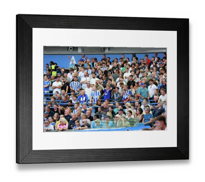 Framed Print : Brighton and Hove Albion v Aston Villa Premier League 23AUG26
