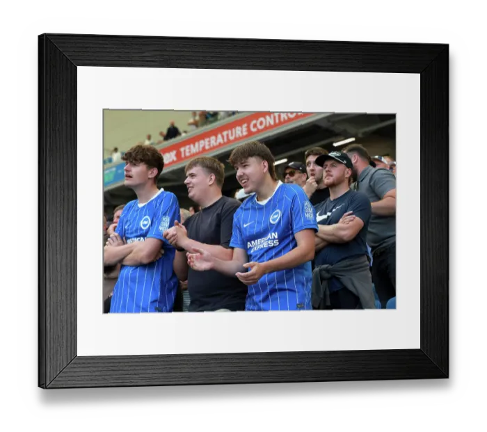 Framed Print : Brighton and Hove Albion v Aston Villa Premier League 23AUG26