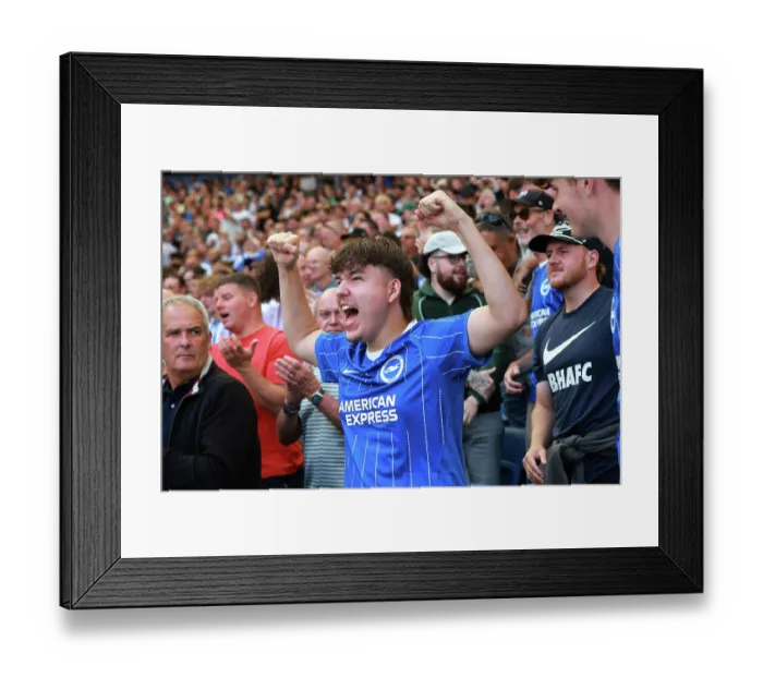 Framed Print : Brighton and Hove Albion v Aston Villa Premier League 23AUG26