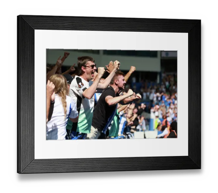 Framed Print : Brighton and Hove Albion v Aston Villa Premier League 23AUG26