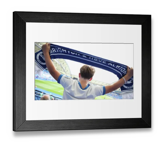 Framed Print : Brighton and Hove Albion v Aston Villa Premier League 23AUG26