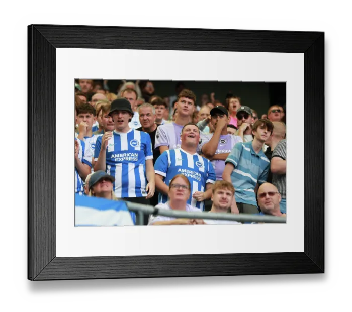 Framed Print : Brighton and Hove Albion v Aston Villa Premier League 23AUG26
