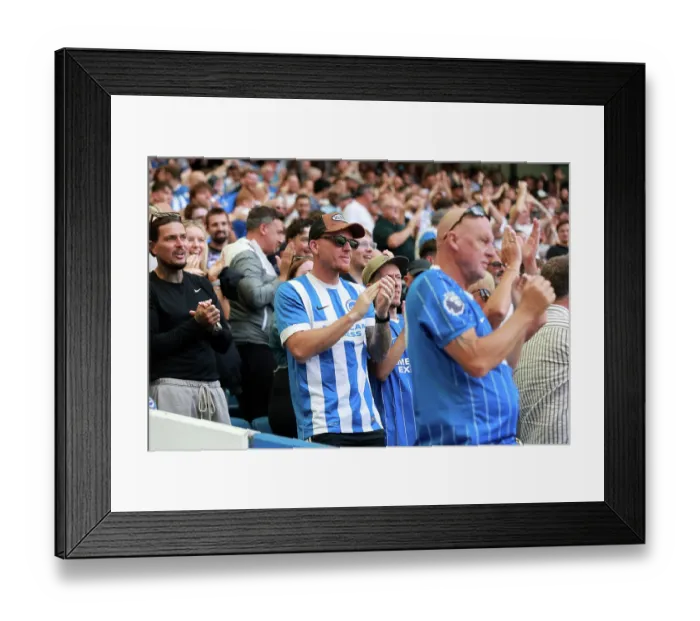 Framed Print : Brighton and Hove Albion v Aston Villa Premier League 23AUG26