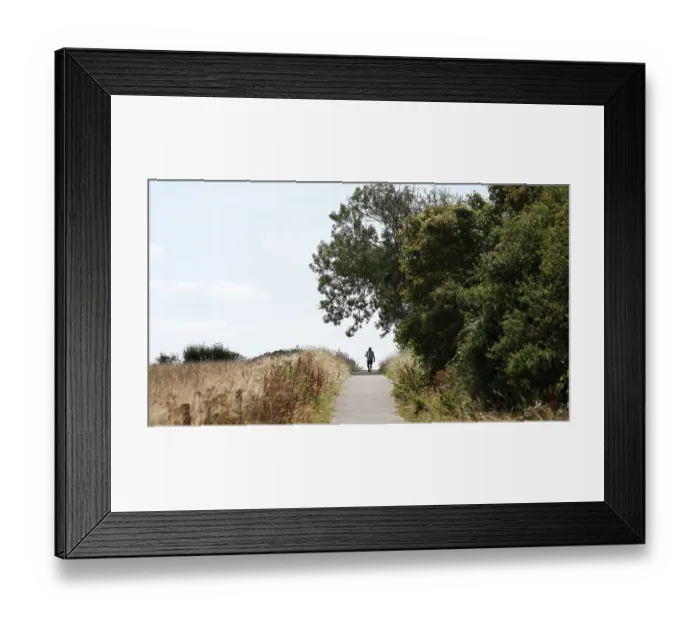 Framed Print : Brighton and Hove Albion v Aston Villa Premier League 23AUG26