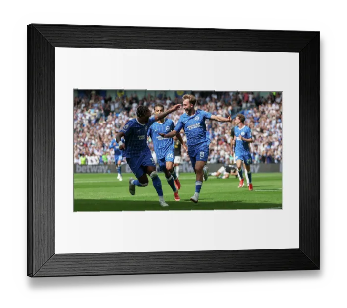 Framed Print : Brighton and Hove Albion v Aston Villa Premier League 23AUG26