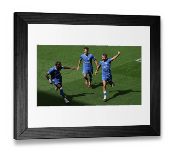 Framed Print : Brighton and Hove Albion v Aston Villa Premier League 23AUG26