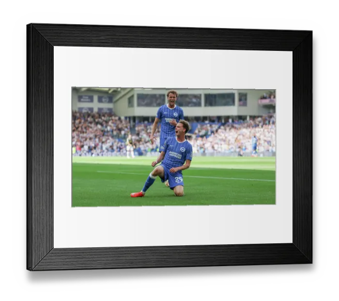Framed Print : Brighton and Hove Albion v Aston Villa Premier League 23AUG26