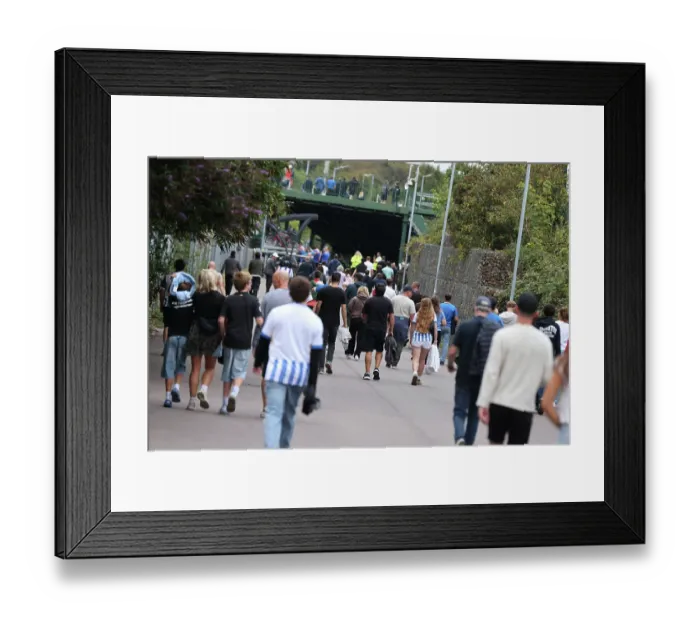 Framed Print : Brighton and Hove Albion v Troms IL Europa Conference League Qualifier 27AUG26 Framed Print : Brighton and Hove Albion v Troms IL Europa Conference League Qualifier 27AUG26