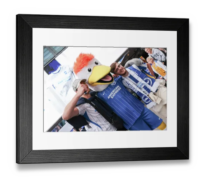 Framed Print : Brighton and Hove Albion v Tromsø IL Europa Conference League Qualifier 27AUG26 Framed Print : Brighton and Hove Albion v Tromsø IL Europa Conference League Qualifier 27AUG26