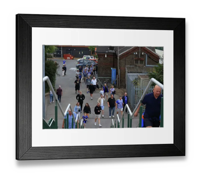 Framed Print : Brighton and Hove Albion v Tromsø IL Europa Conference League Qualifier 27AUG26 Framed Print : Brighton and Hove Albion v Tromsø IL Europa Conference League Qualifier 27AUG26