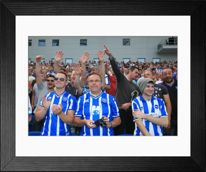 Framed Print : Brighton & Hove Albion FC: 2011-12 Home Matches - Spurs and Doncaster