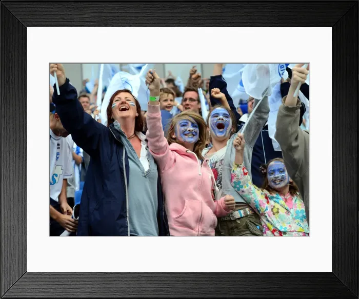 Framed Print : Brighton & Hove Albion 2011-12 Home Matches: Spurs and Doncaster