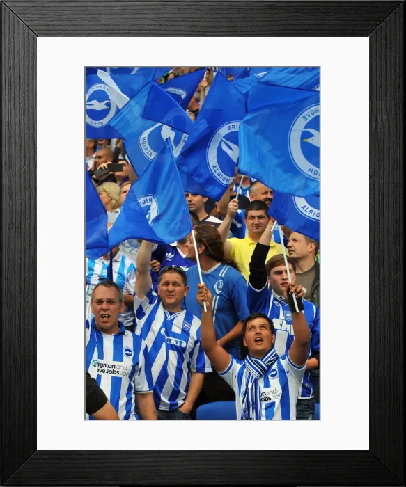 Framed Print : Brighton & Hove Albion 2011-12 Home Games: Spurs and Doncaster Framed Print : Brighton & Hove Albion 2011-12 Home Games: Spurs and Doncaster