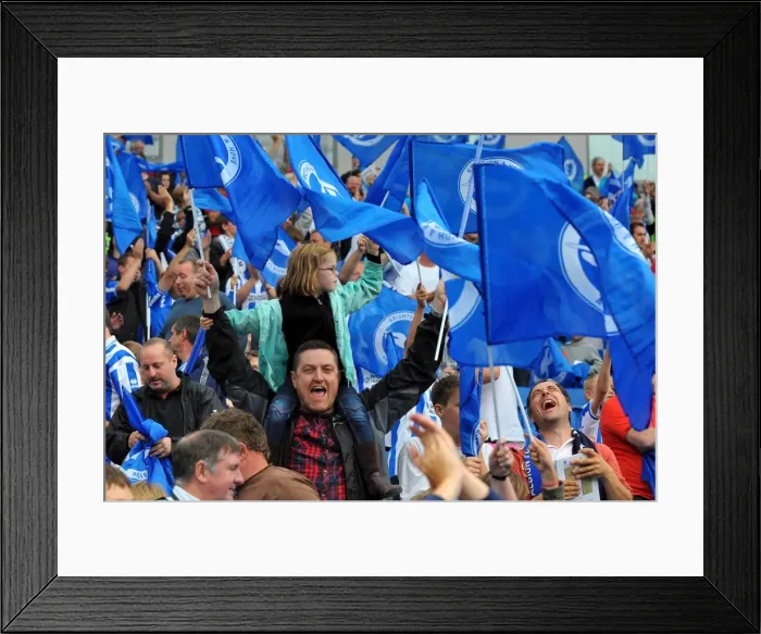 Framed Print : Brighton & Hove Albion FC: 2011-12 Home Season - A Flashback to Spurs and Doncaster Games Framed Print : Brighton & Hove Albion FC: 2011-12 Home Season - A Flashback to Spurs and Doncaster Games