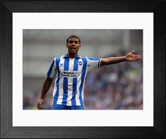 Framed Print : Brighton & Hove Albion's Tenacious Midfielder: Liam Bridcutt Framed Print : Brighton & Hove Albion's Tenacious Midfielder: Liam Bridcutt