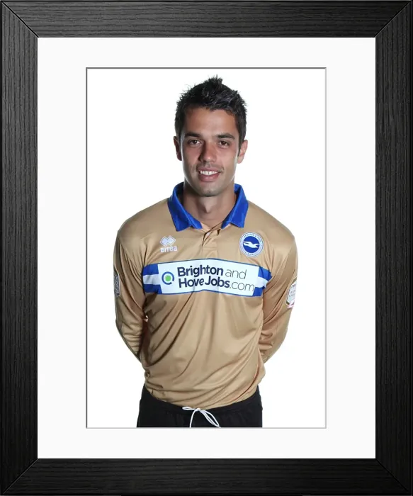 Framed Print : Brighton and Hove Albion: Peter Brezovan in Action Framed Print : Brighton and Hove Albion: Peter Brezovan in Action