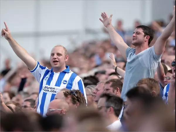 Brighton and Hove Albion FC: Electric Atmosphere at The Amex Stadium (2011-12)