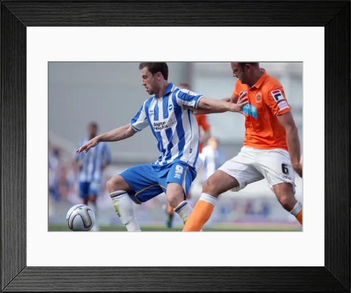 Framed Print : Brighton & Hove Albion vs. Blackpool: 2011-12 Season Home Game Framed Print : Brighton & Hove Albion vs. Blackpool: 2011-12 Season Home Game