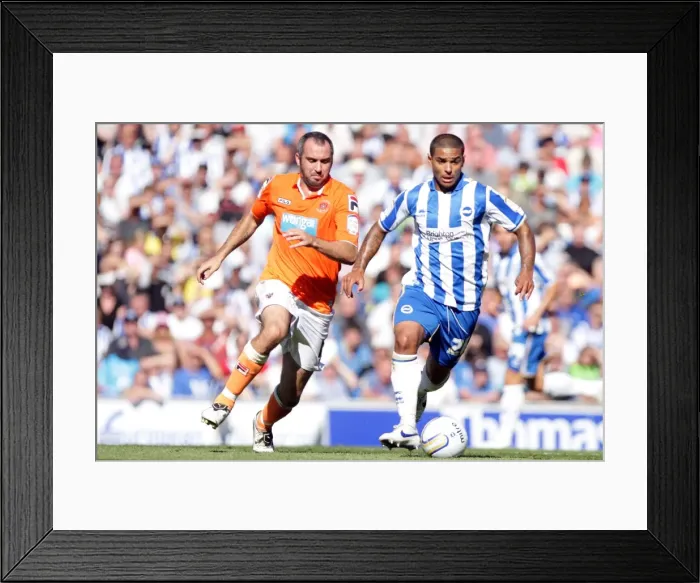 Framed Print : Brighton & Hove Albion vs. Blackpool - 2011-12 Season: A Home Game Framed Print : Brighton & Hove Albion vs. Blackpool - 2011-12 Season: A Home Game