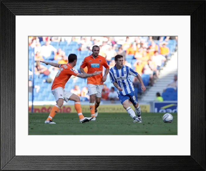 Framed Print : Brighton & Hove Albion vs. Blackpool: 2011-12 Season Home Opener Framed Print : Brighton & Hove Albion vs. Blackpool: 2011-12 Season Home Opener