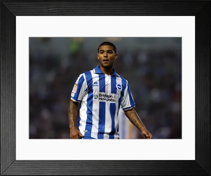 Framed Print : Brighton Midfielder Liam Bridcutt: Unwavering Focus and Determination on the Field Framed Print : Brighton Midfielder Liam Bridcutt: Unwavering Focus and Determination on the Field