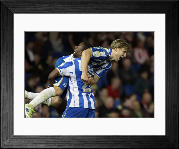 Framed Print : Brighton & Hove Albion vs. Sunderland (2011-12 Season: Home Game) Framed Print : Brighton & Hove Albion vs. Sunderland (2011-12 Season: Home Game)