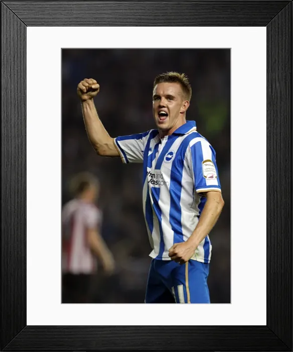Framed Print : Brighton & Hove Albion vs. Sunderland (2011-12 Season: Home Game) Framed Print : Brighton & Hove Albion vs. Sunderland (2011-12 Season: Home Game)