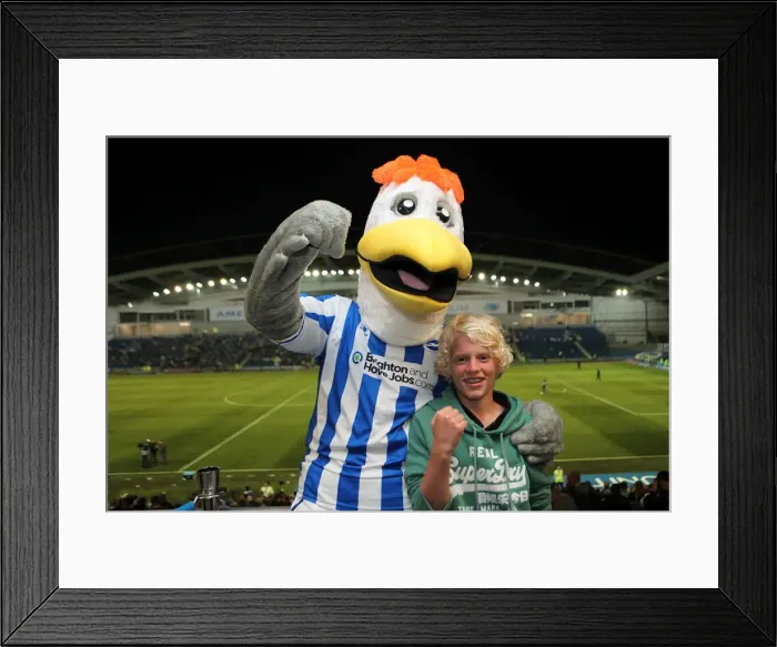 Framed Print : Brighton & Hove Albion's Gully: Warmly Welcoming His Adoring Fans Framed Print : Brighton & Hove Albion's Gully: Warmly Welcoming His Adoring Fans